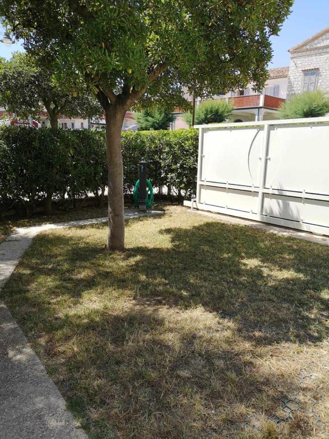 Giardino Sul Mare Casa Casoni Διαμέρισμα Numana Εξωτερικό φωτογραφία