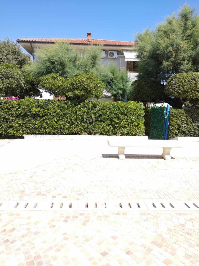 Giardino Sul Mare Casa Casoni Διαμέρισμα Numana Εξωτερικό φωτογραφία